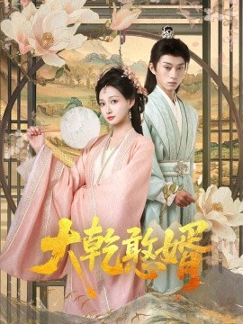大乾憨婿101集海报